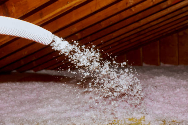 Best Geographic-Specific Insulation Services in Newton Falls, OH