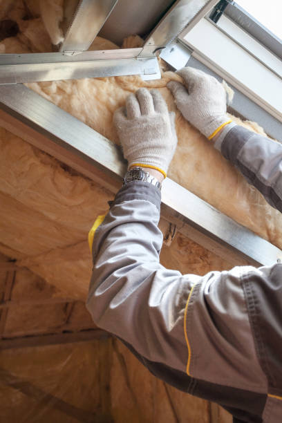 Best DIY Insulation Kits and Guidance in Newton Falls, OH